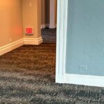 Commercial - Carpet